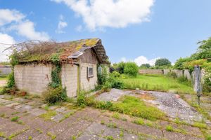 Garden- click for photo gallery